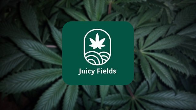 juicy fields review