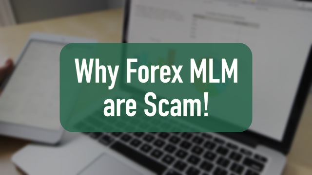 forex mlm scam