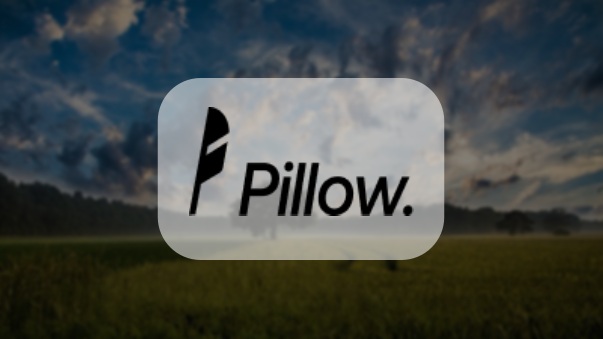 Pillow Fund Review
