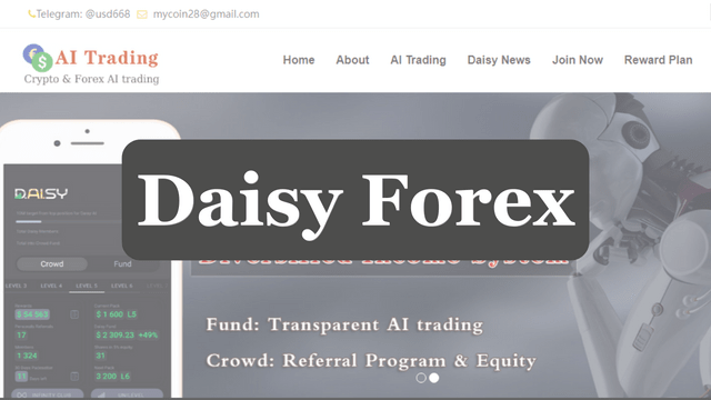 Daisy Forex Collapse