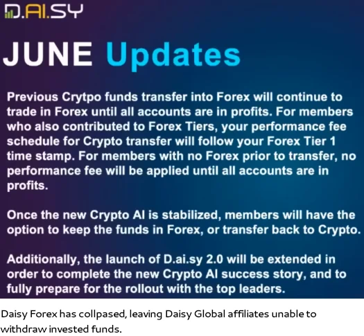 Daisy forex collapse