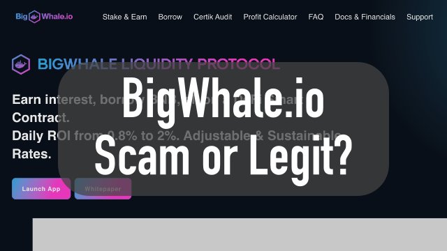 bigwhale.io review