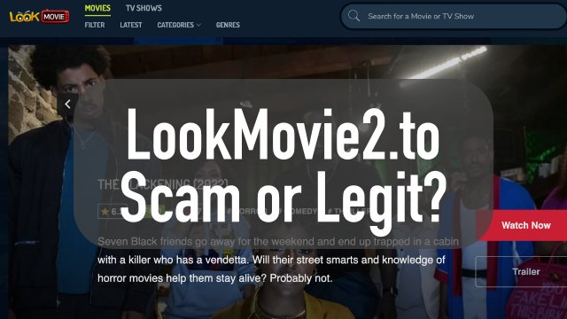 lookmovie2.to review