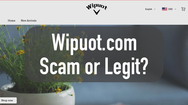 wipuot.com review