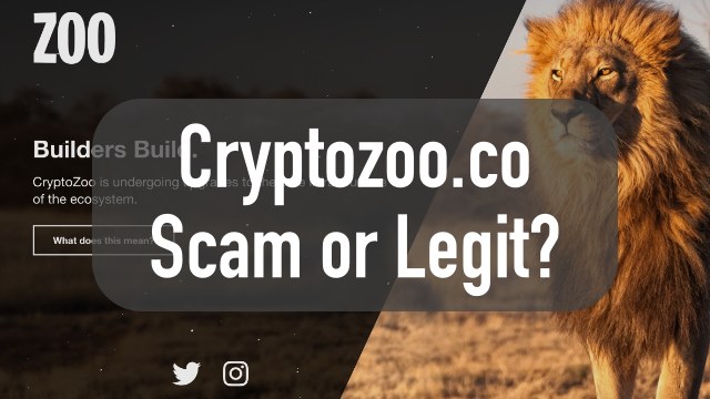 cryptozoo.co review