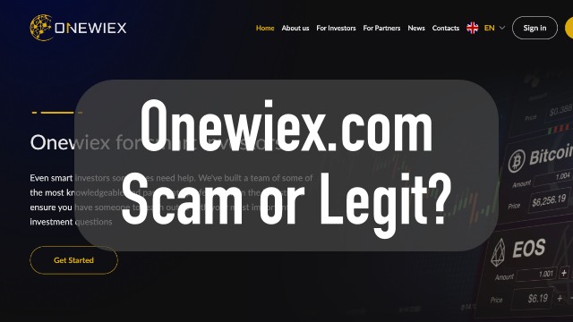 onewiex.com review