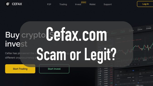 Cefax.com Reviews