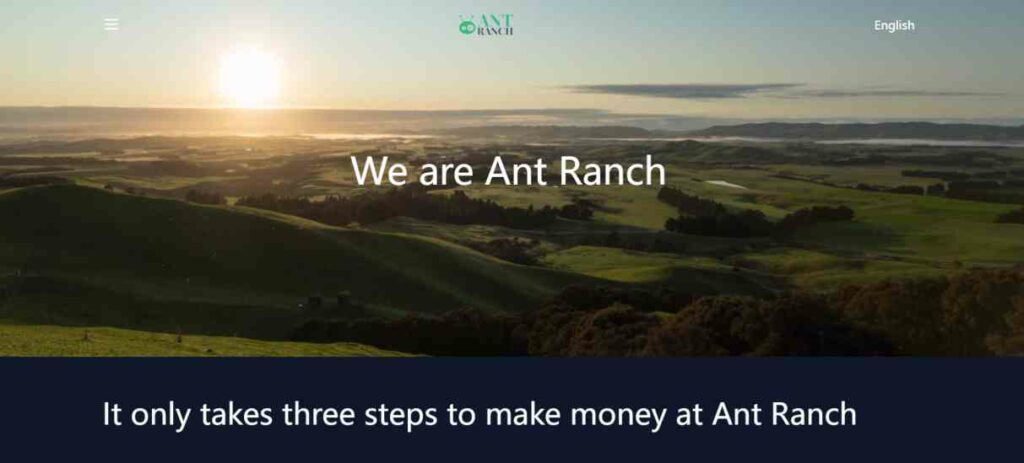 ant ranch