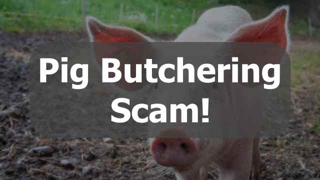 Pig Butchering Scam