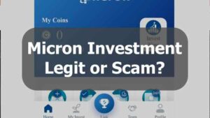 Micron Investment Review