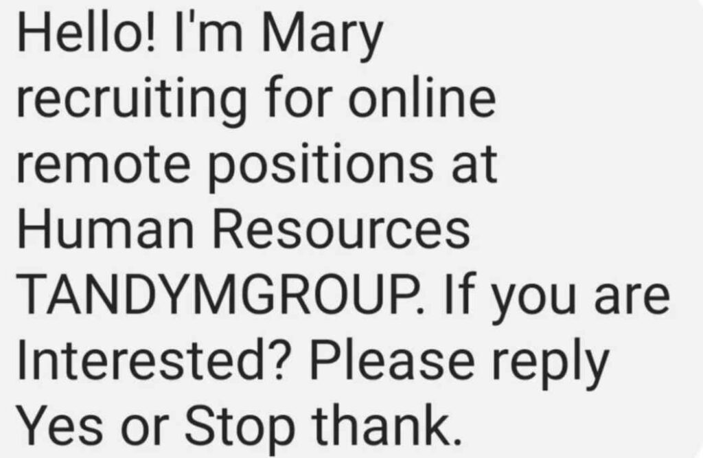 Tandym Group Scam Job Recruitment text